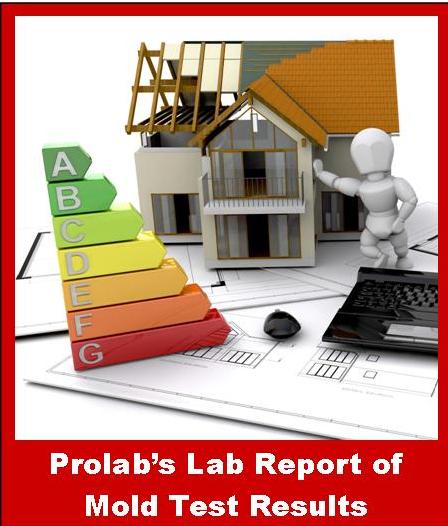 Prolab's Mold Test Results